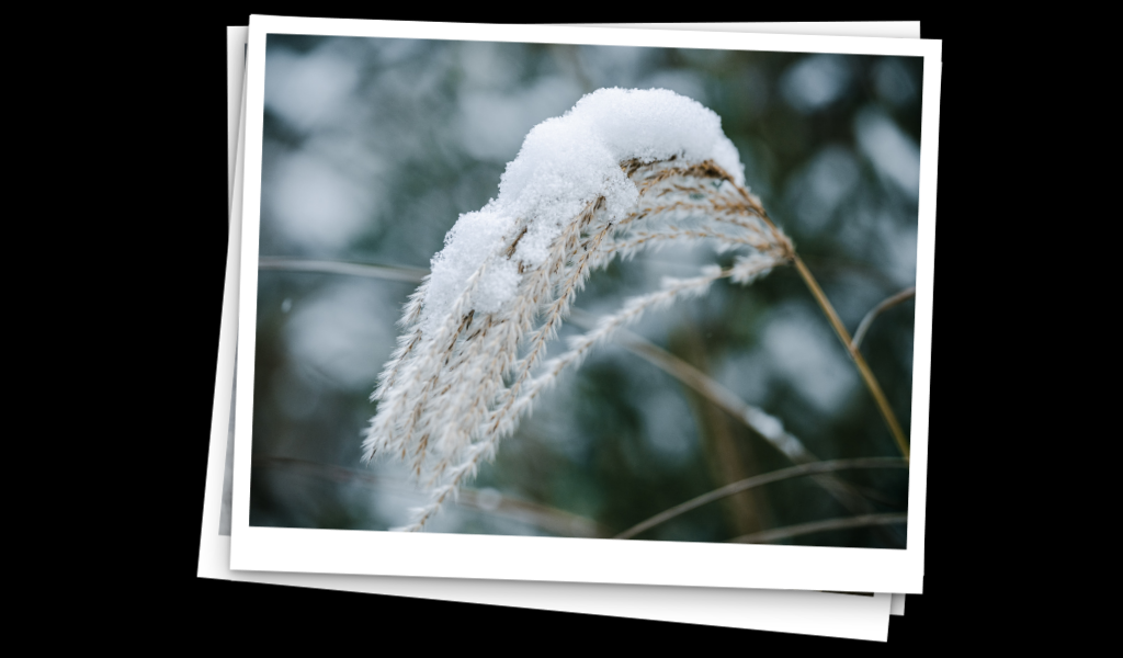mmm-photostack-screen.png