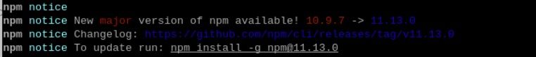 npm.jpg