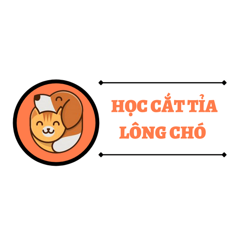 hoccattialongcho
