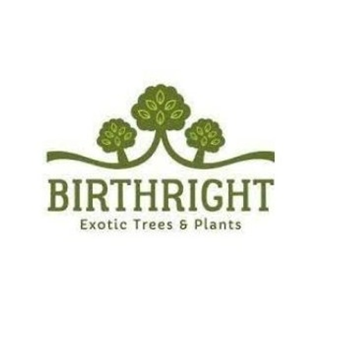 birthright