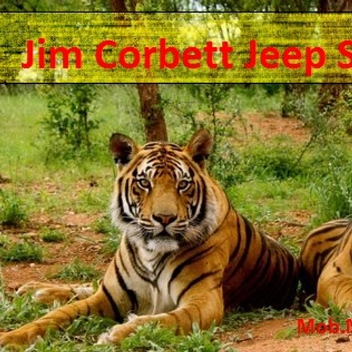 jimcorbettjeep